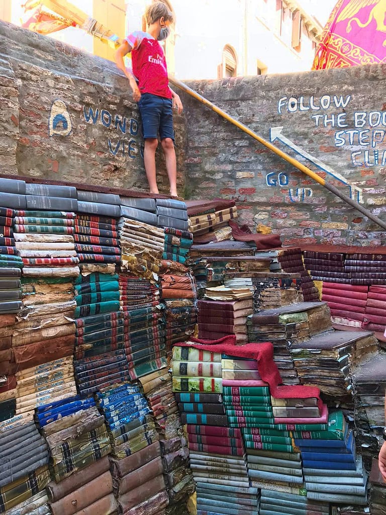 Kid on a pile of books looking over a wall